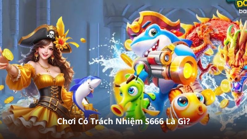 Chơi Có Trách Nhiệm S666 Là Gì?
